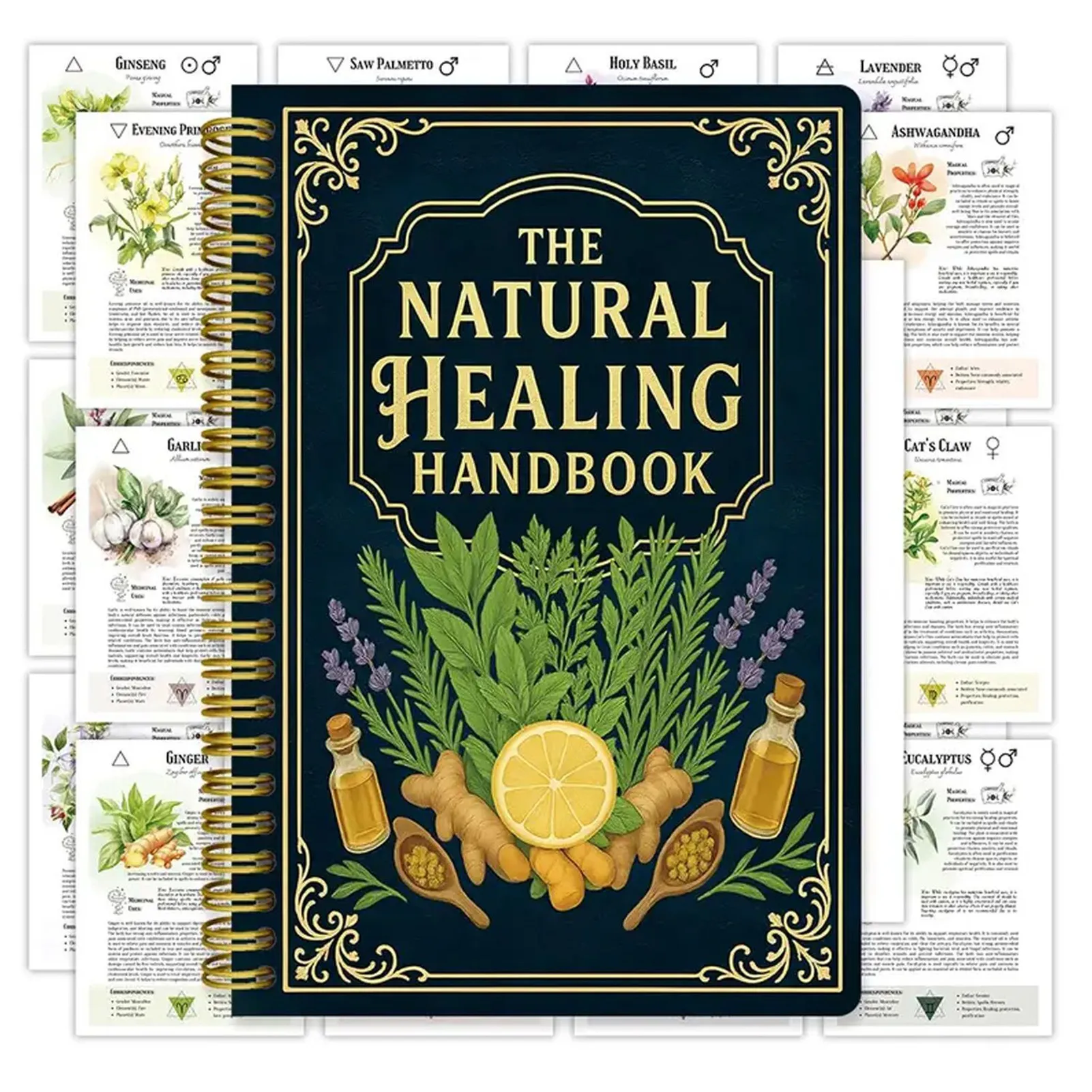 Natural Healing Handbook von Luna Filby English Edition Gesundheitsanleitung für ganzheitliche Wellness- und Selbstpflegeübungen Image