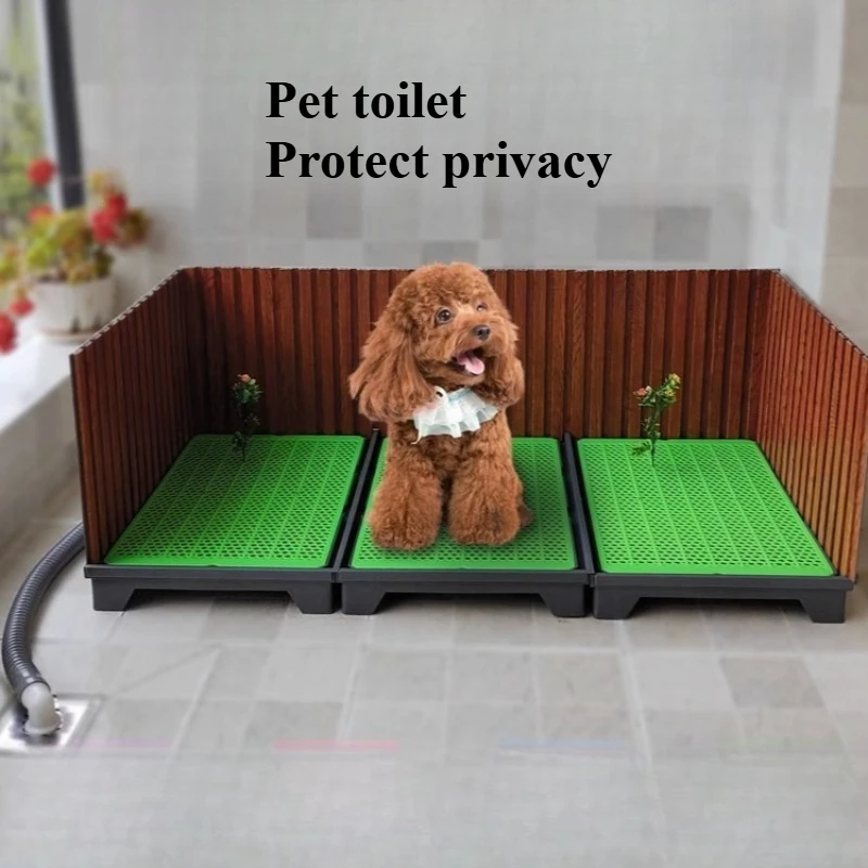 Haustiertoilette mit Schallwand, Spülwasser, direkt abgeladene Kanalisation, Haustier-Reinigungsprodukte, Zubehör, Katzen, Hunde, Kaninchen, Toilette Image