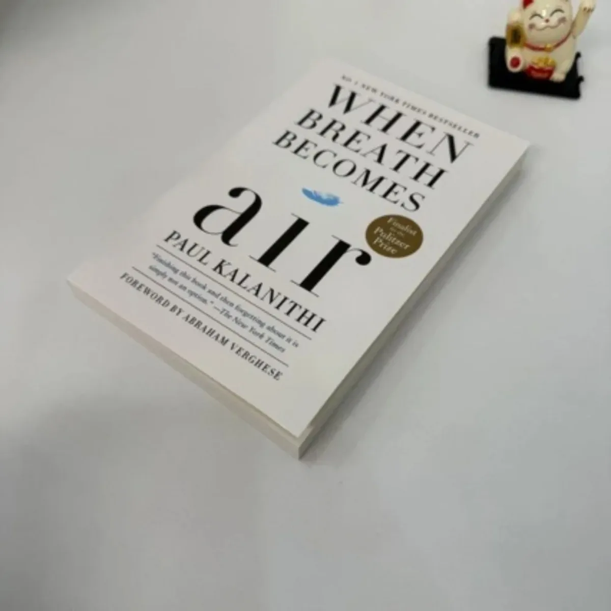Wenn Atem Luft wird von Paul Kalanithi – Life & Death Memoir | Neurochirurgs Final Reflection Biografie-Buch, das die das Lesen wert ist Image