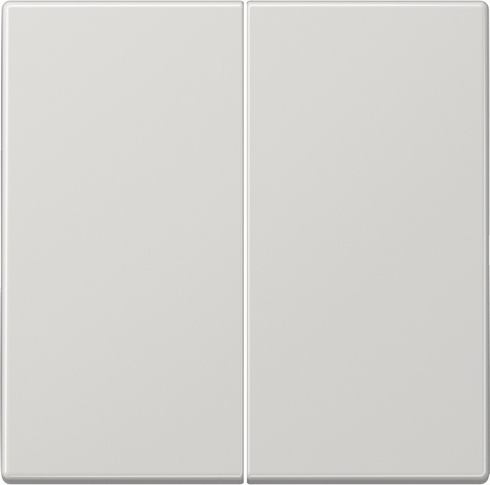 Jung Wippe lgr LS 995 LG LS995LG Image