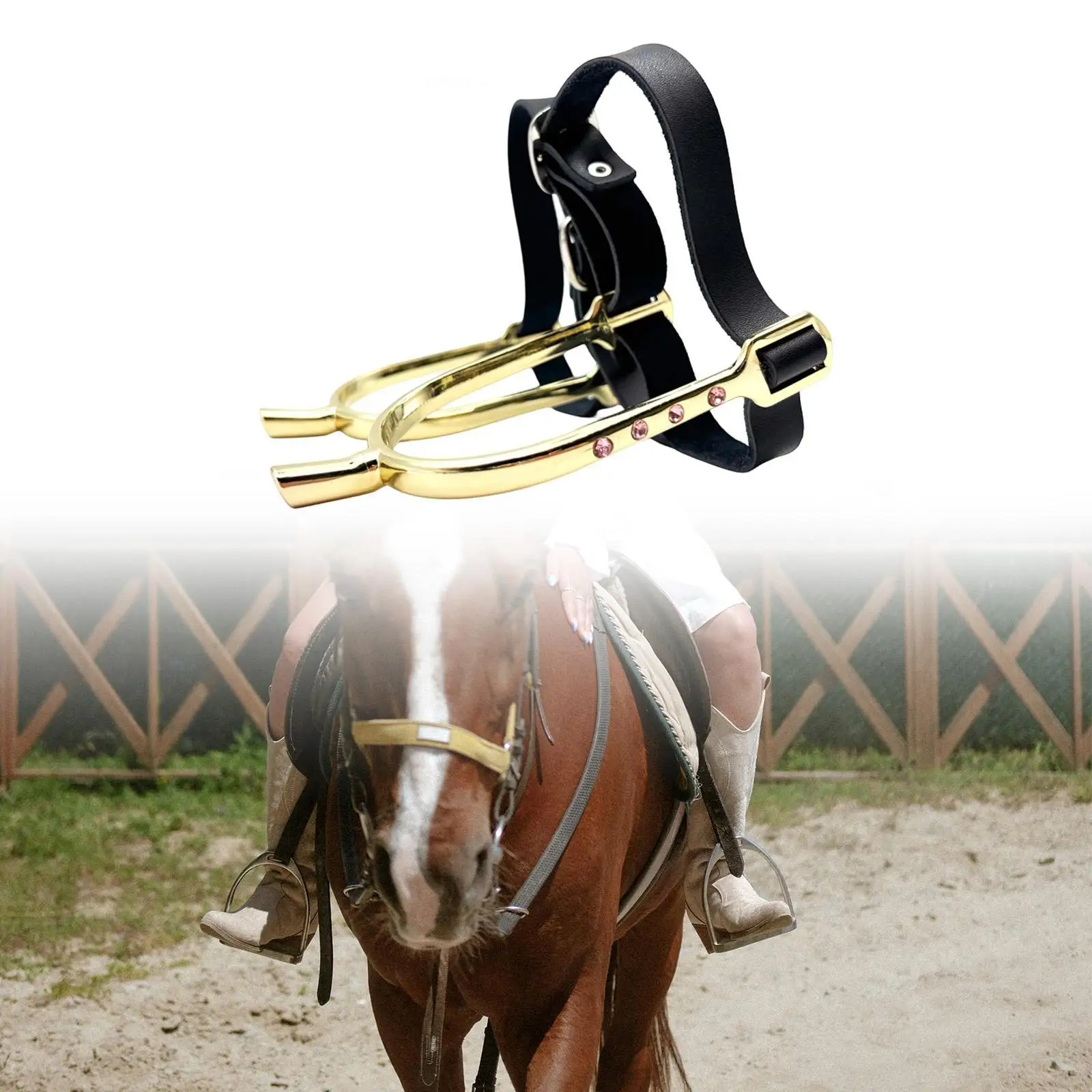 Reitsport Reitersporen aus Eisen mit PU-Leder-Gürtel Reitzubehör für Wettkampf Dressur Ranch Image