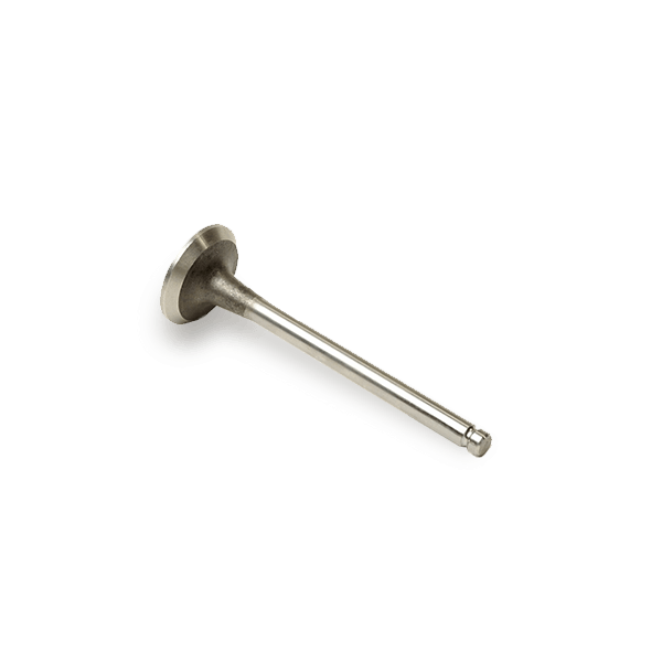 MAHLE Auslaßventil VW,AUDI,SKODA 029 VA 30519 000 058109611E