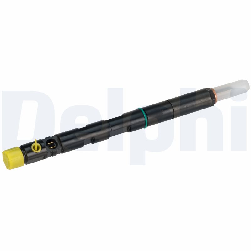 DELPHI Düsenstock r05001d für JCB Image
