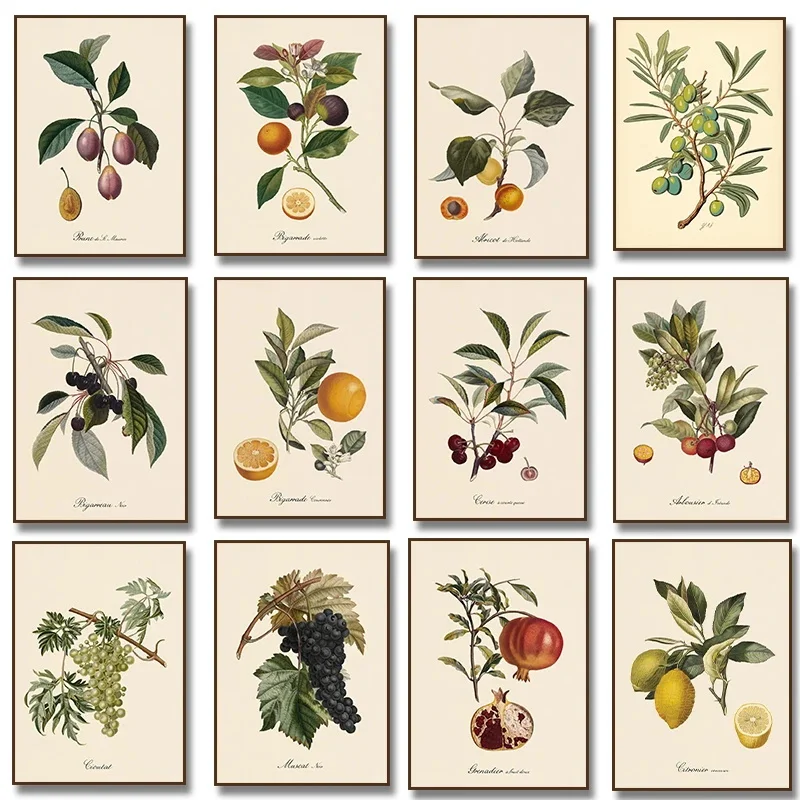 Vintage botanische Frucht Zitrone Pflaume Orange Vintage Poster und Drucke Wandkunst Leinwand Malerei Wandbilder Küchendekoration