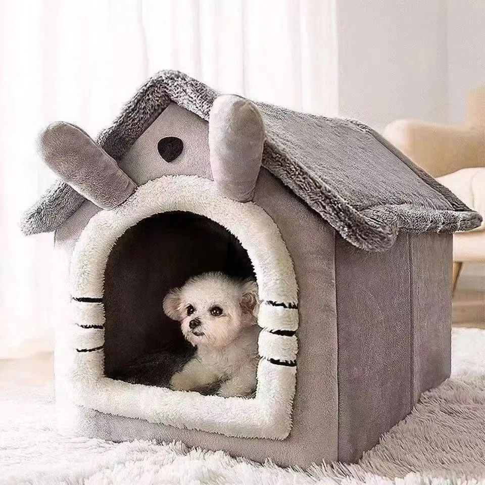 pro