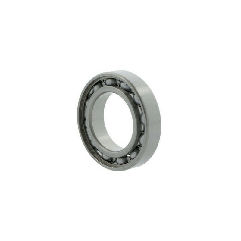 Cuscinetto A Sfera Di Gola Profonda 6006 Cm Int 30mm Ext 55mm Ep. 13mm Nachi