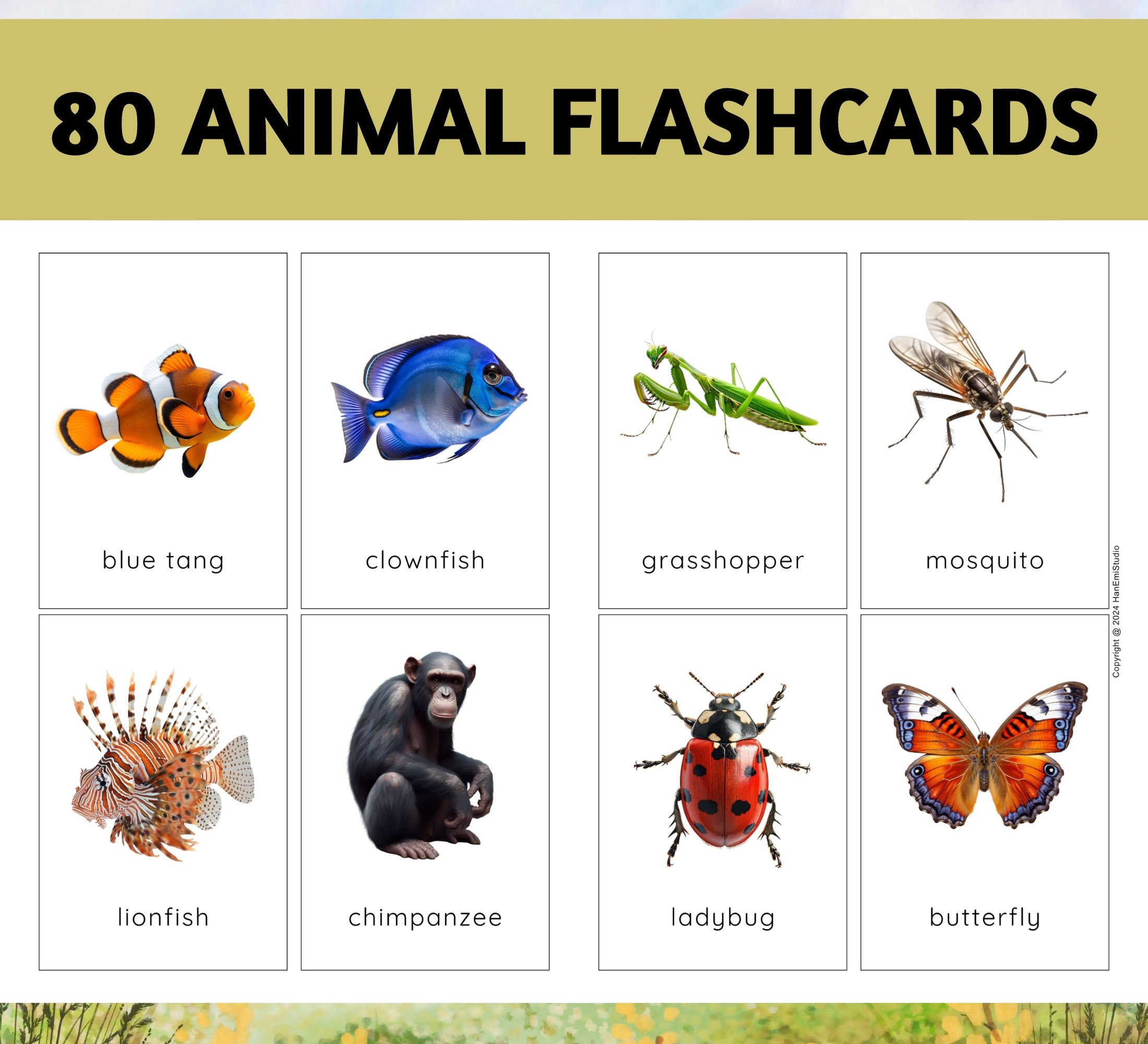 80 schede didattiche realistiche sugli animali; schede didattiche per bambini; schede didattiche sugli animali, schede didattiche Montessori; schede d