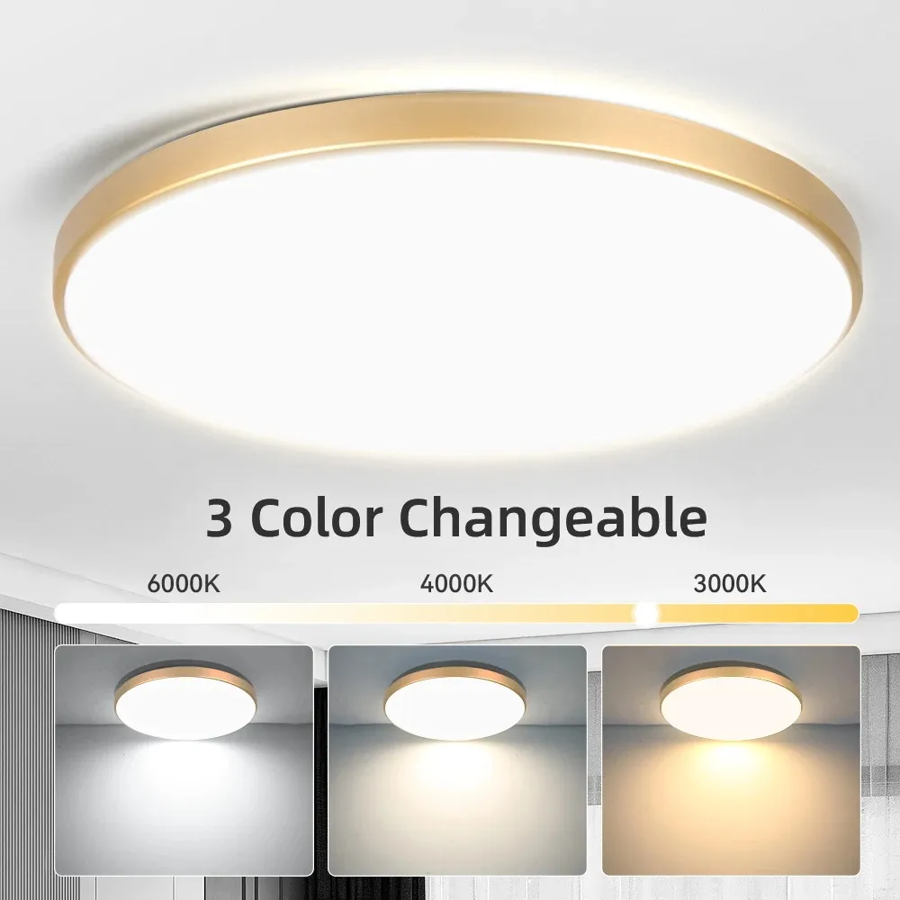 LED-Deckenleuchten 220V LED-Deckenlampe 18W 30W 40W 50W Beleuchtung für Wohnzimmer LED-Leuchten Moderne Heimdekoration