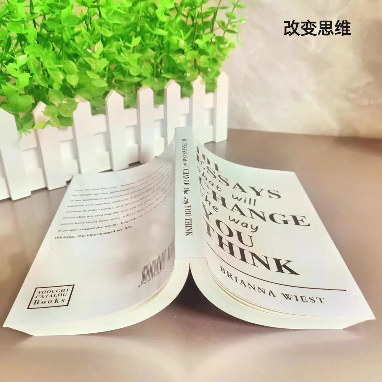 101 Essays, die den Weg, wie Sie denken, verändern werden. Englische Bücher. 101 Essays, die den Weg, wie Sie denken, verändern werden. Englische Bücher.