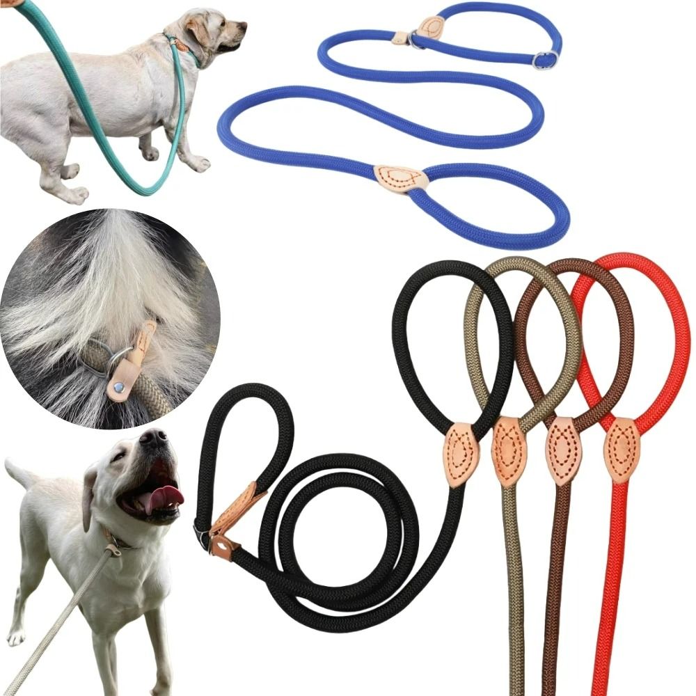 Heavy Duty Slip Rope Lead Braided Nylon Training Leash With Integrated Adjustable Loop 0.25 In 6 Ft red