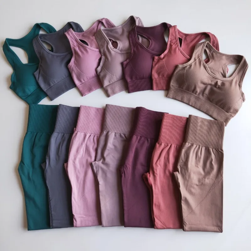 2 pièces ensemble de Yoga sans couture vêtements d'entraînement pour femmes ensemble de Sport tenue de Fitness vêtements de Sport femmes ensemble Leggings vêtements de Sport
