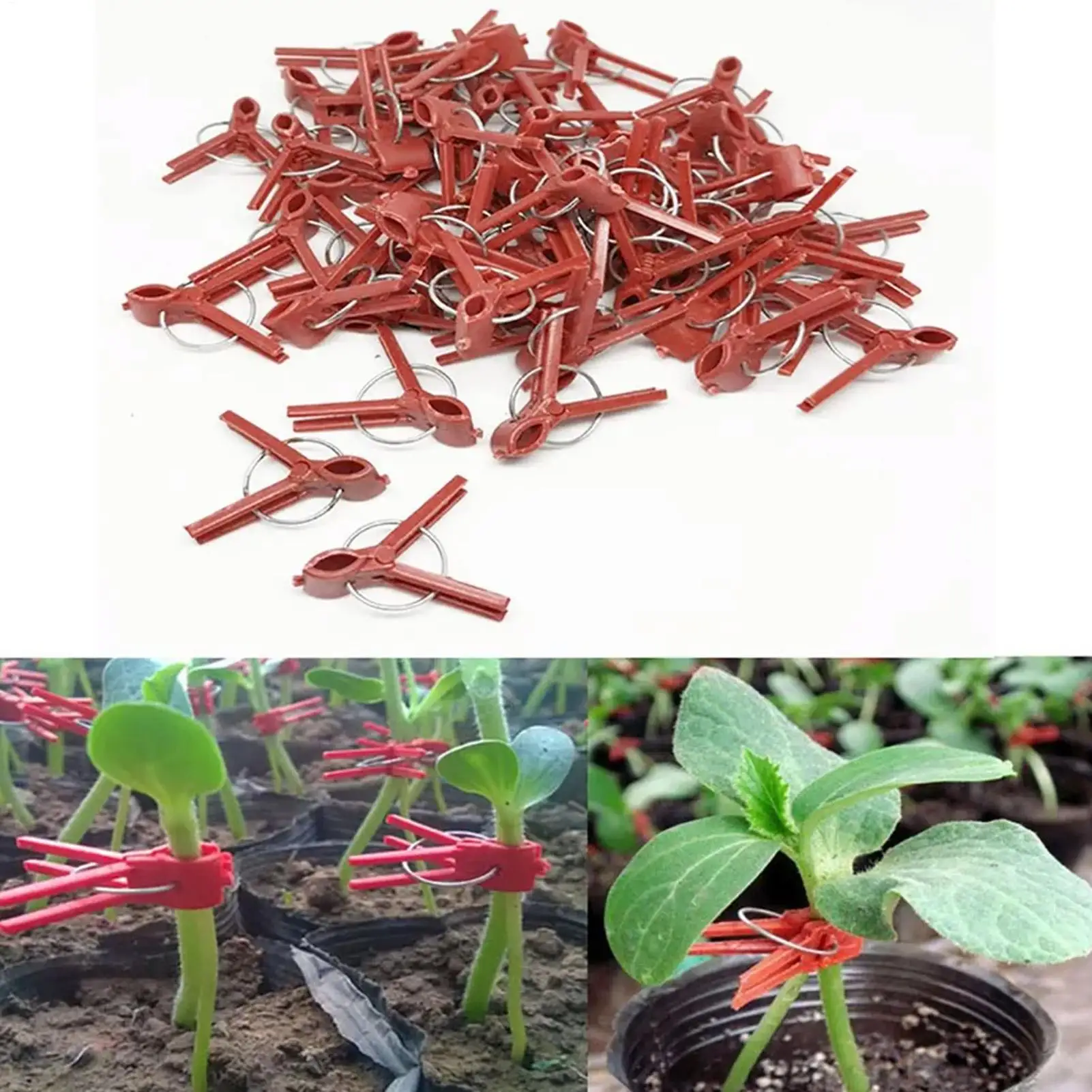 50er-Pack Landwirtschaftliche Gewächshaus-Klemmen für Gurken- und Tomatenranken, Zweigklemmen, Rankenklammern, Pflanzenstützklammern Image