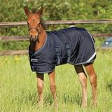 Amigo Foal Turnout Blanket - 30 - Medium (200g) - Navy/Electric Blue & Navy - Smartpak