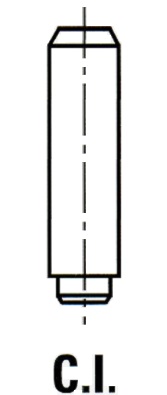 IPSA Ventilführung vg063000 Image
