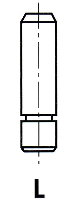 IPSA Ventilführung vg078700 Image