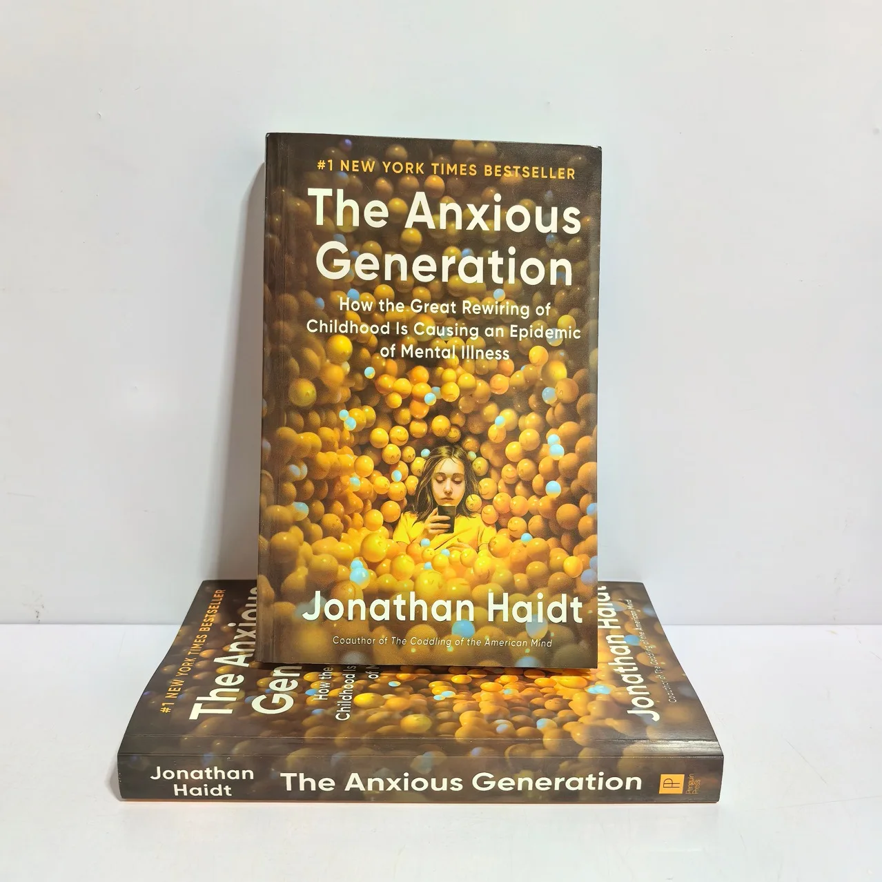 Bview Art The Anxious Generation: NYT-Bestseller zum digitalen Leitfaden für Altersangst und geistige Wellness Image