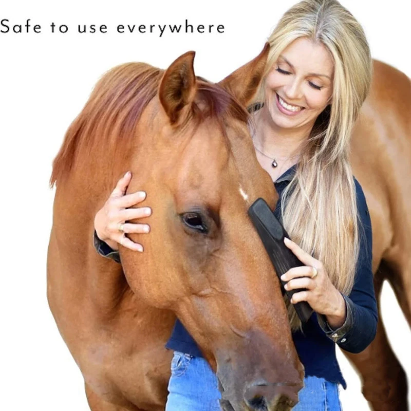 Pferd Massage Pinsel Tier Körper Pflege Bad Reinigung Pinsel Reitsport Pferd Pflege Werkzeuge Haar Finishing Liefert Image