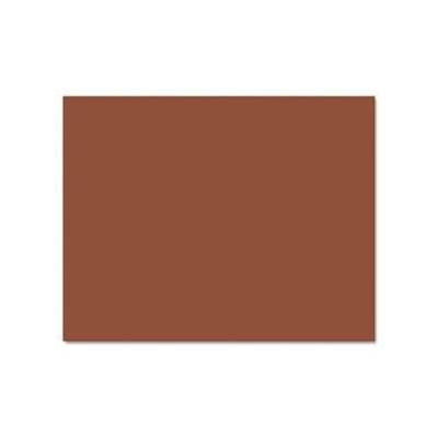 Pacon PAC54691 Railroad Board, 4-Ply, 22"" x 28"", Brown, 25 Sheets Per Carton