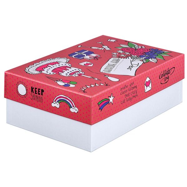 Falken Geschenkbox »Birthday« 24,0/36,0/12,0 cm, 12x36 cm