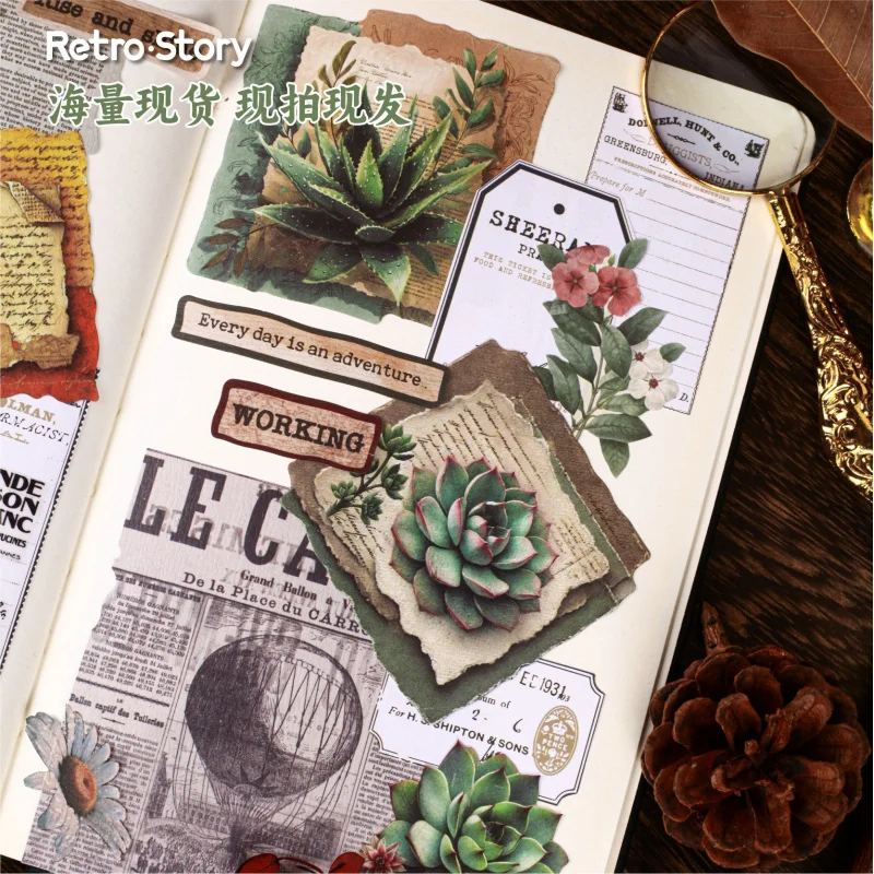 20 Stück/Packung Retro Pflanzen-Collage-Deko, Vintage Blumen- und Blätterillustration, DIY Handgemachtes Album Scrapbooking Dekoratives Papierzubehör Image