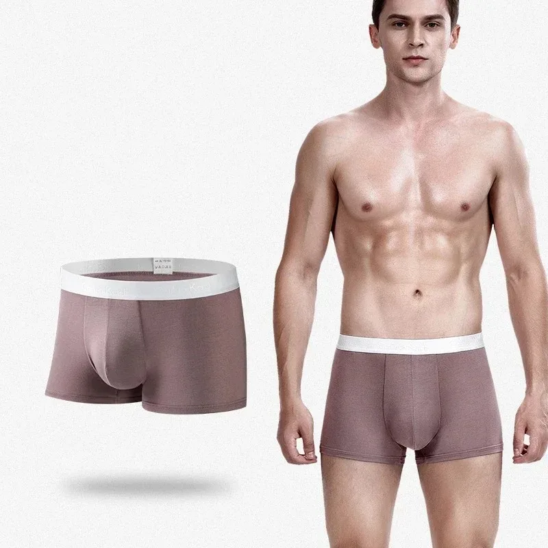 Sous-vêtements pour homme, caleçons en modal de graphène, sous-vêtements pour homme, caleçons de couleur unie, respirants, confortables, shorts pour homme, sous-vêtements pour homme