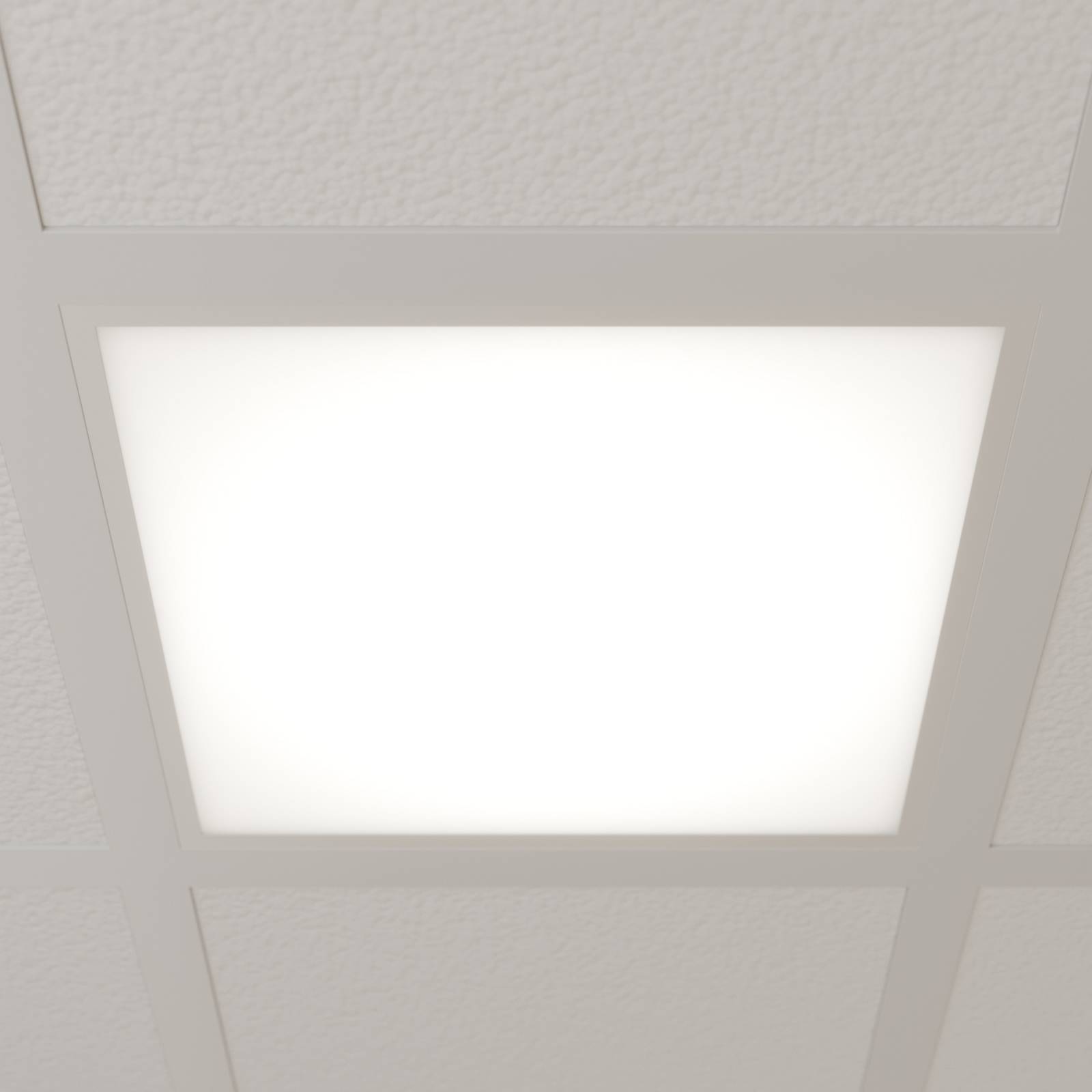 Pannello Arcchio LED Vinas, 4.000 K, 36 W, 62 cm x Vinas, Bianco / Opale, Studio / Ufficio, Plastica, Moderno, Pannello LED