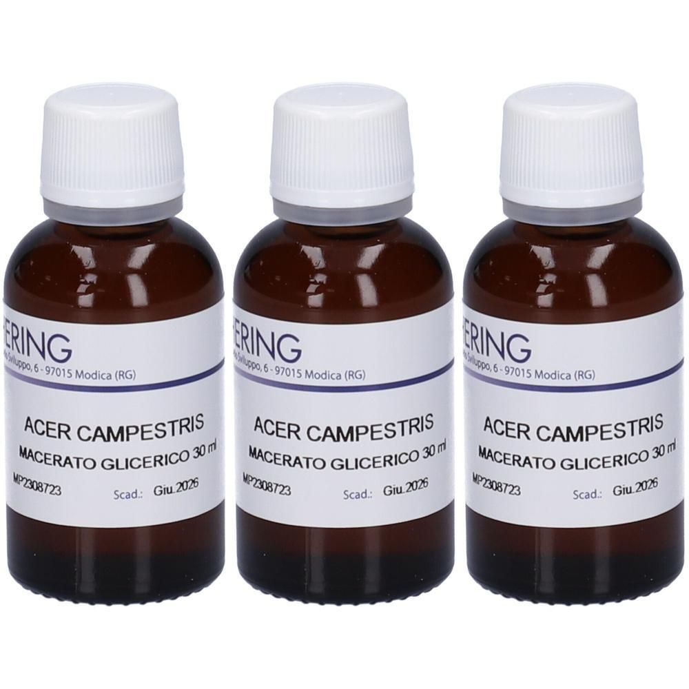 HERING Acer Campestre Gemmeme Macerato Glicerico 3x30 ml