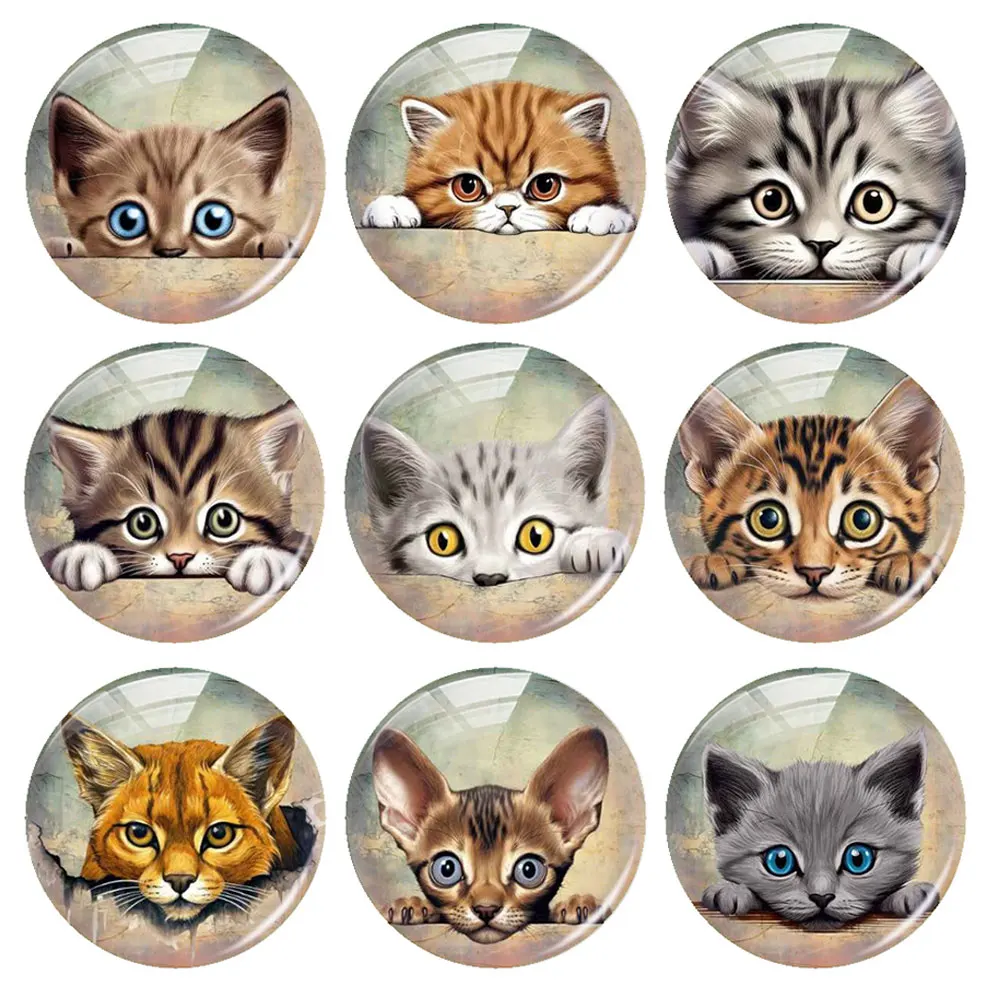 Handgemachte Kätzchen Katze Haustier Foto Glas Cabochon Flatback Demo Flache Rückseite Cameo Für Diy Schmuck Machen Liefert Zubehör
