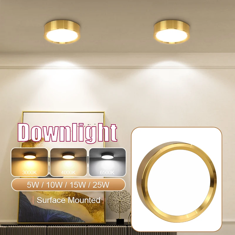 LED Goldene Downlights Deckenleuchte LED Spot 10W 15W 25W Aufputz-Downlights Dünner Strahler für Wohnzimmer Deckenspots