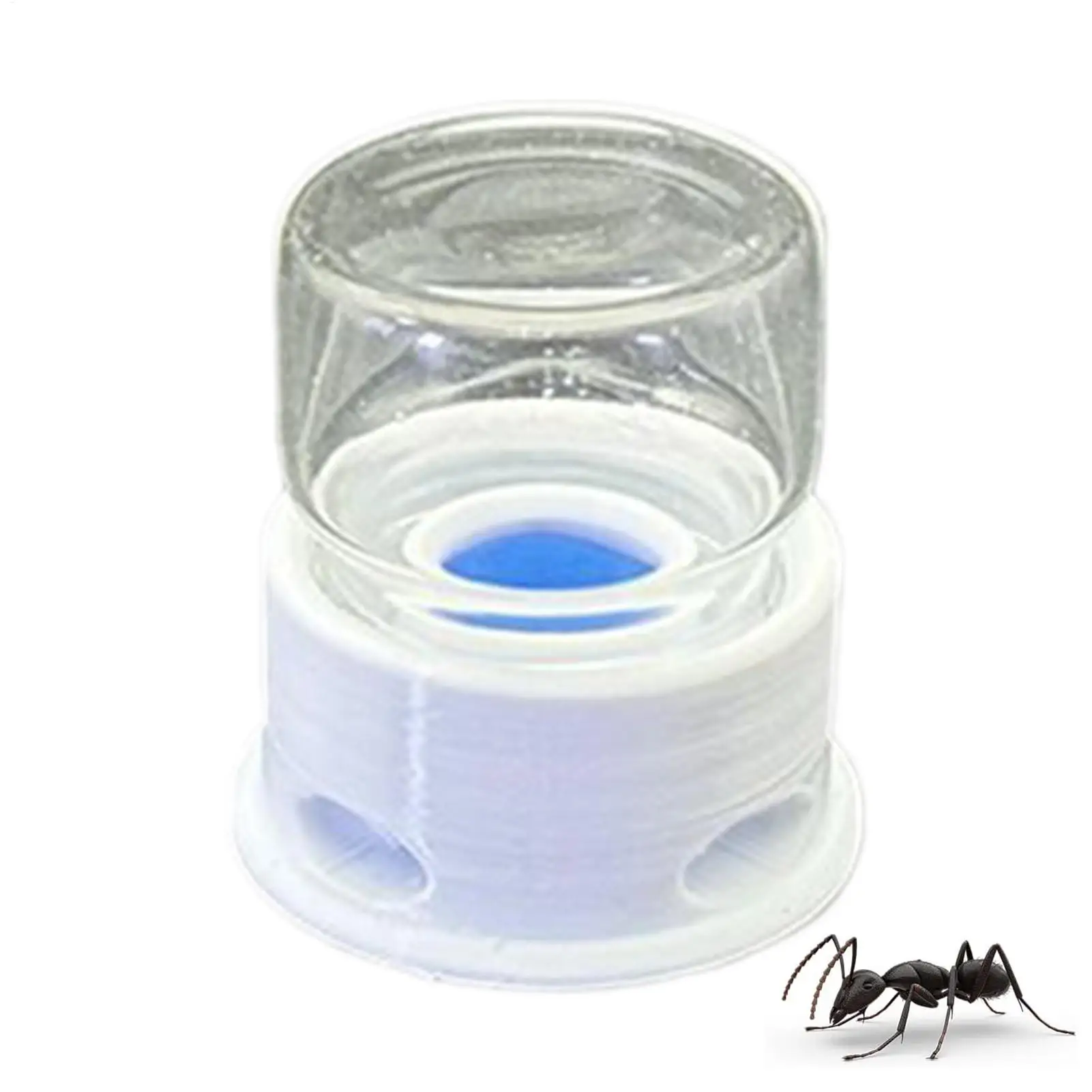Ameisen-Wasserspender, Transparente Trinkstation, Wasserspender für Heuschrecken, Erstickungsschutz für Ameisen, Bienen, Heuschrecken, für Zuhause, Klassenzimmer, Outdoor