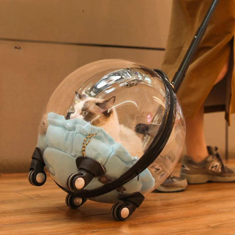 Tragbare Katzentasche zum Ausgehen, große Kapazität, transparent, atmungsaktiv, Haustier-Trolley, Katzen-Reisetasche, Heimtierbedarf, Katzennest
