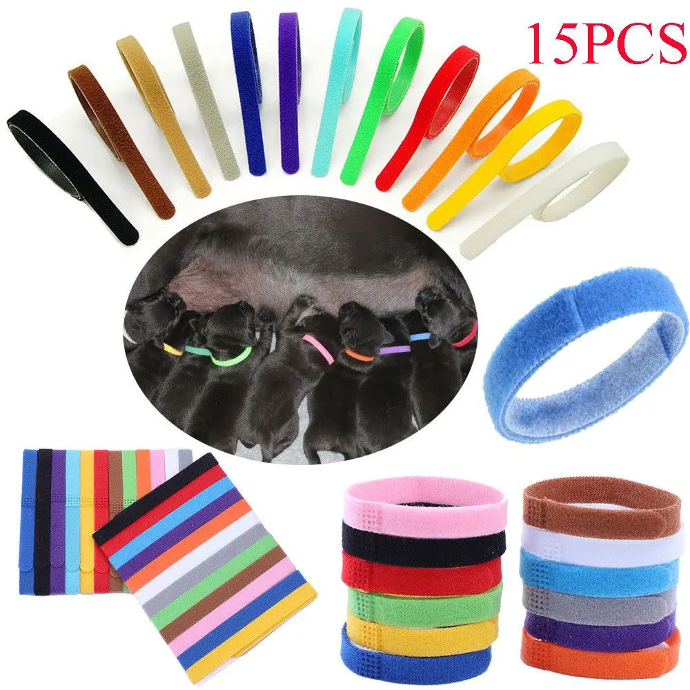 15PCS Bunte Nylon Hund Katze Haustier Liefert Identifikation ID Halsbänder Whelp Kätzchen Welpen ID Kragen