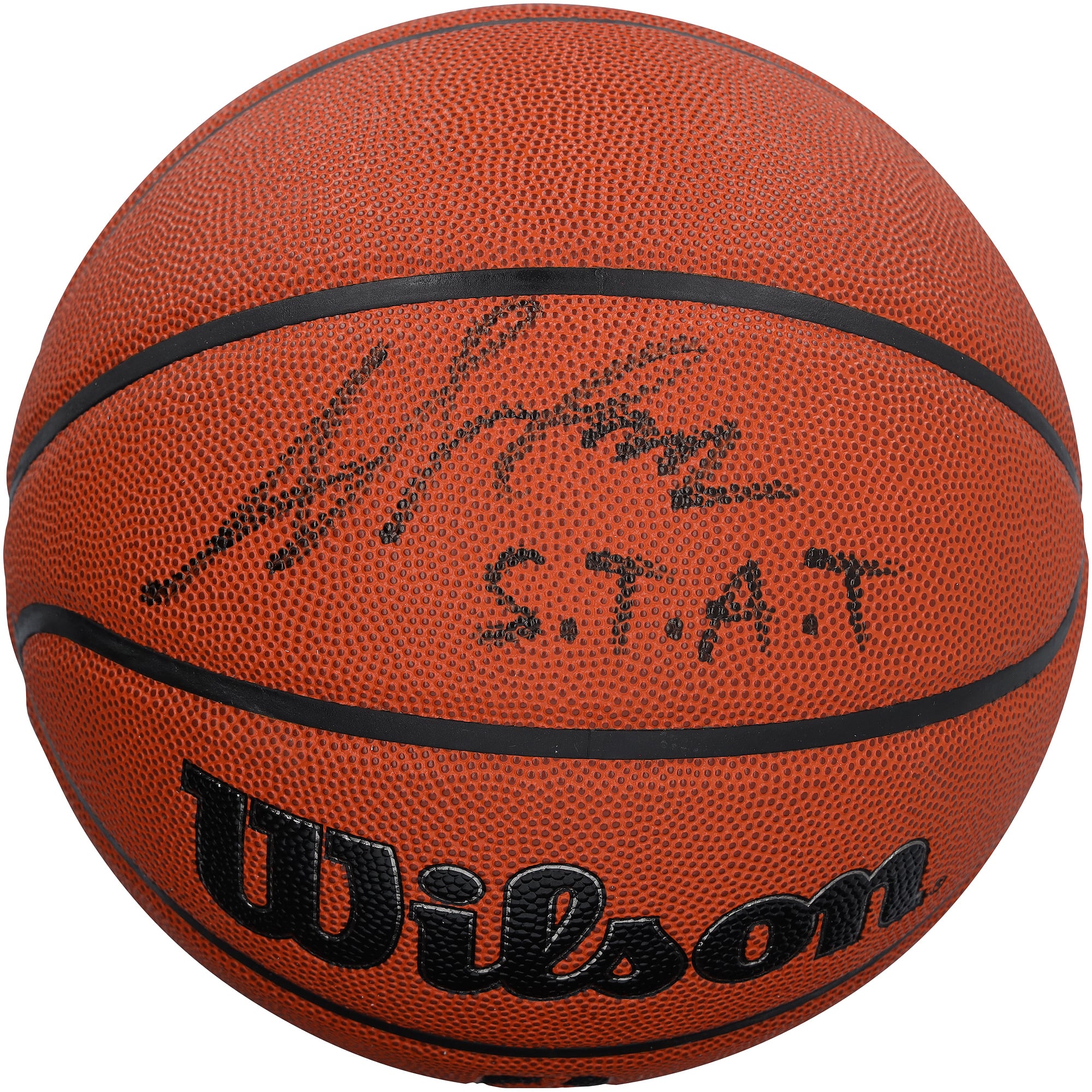 Amar'e Stoudemire Phoenix Suns signierter Wilson Authentic Series Indoor/Outdoor-Basketball mit „S.T.A.T.“-Aufschrift – schwarze Tinte
