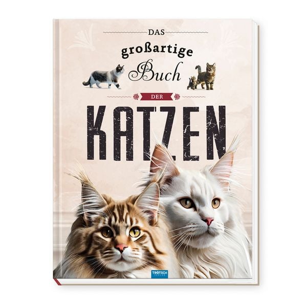 TRÖTSCH - Kinderbuch Das großartige Buch der Katzen| Ab 8 Jahren, Gebundene Ausgabe von , Trötsch Verlag GmbH & Co. KG, 978-3-9880253-8-8