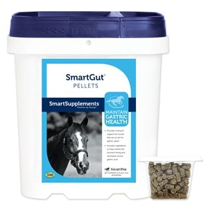 SmartGut Pellets - 3.75 lb Bucket Equine Ulcer Medication & Gastric Health Supplements