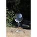 Schott Zwiesel Diva 16 oz. Crystal Wine Glass in Red | 9 H x 3.6 W in | Wayfair 0006.104095