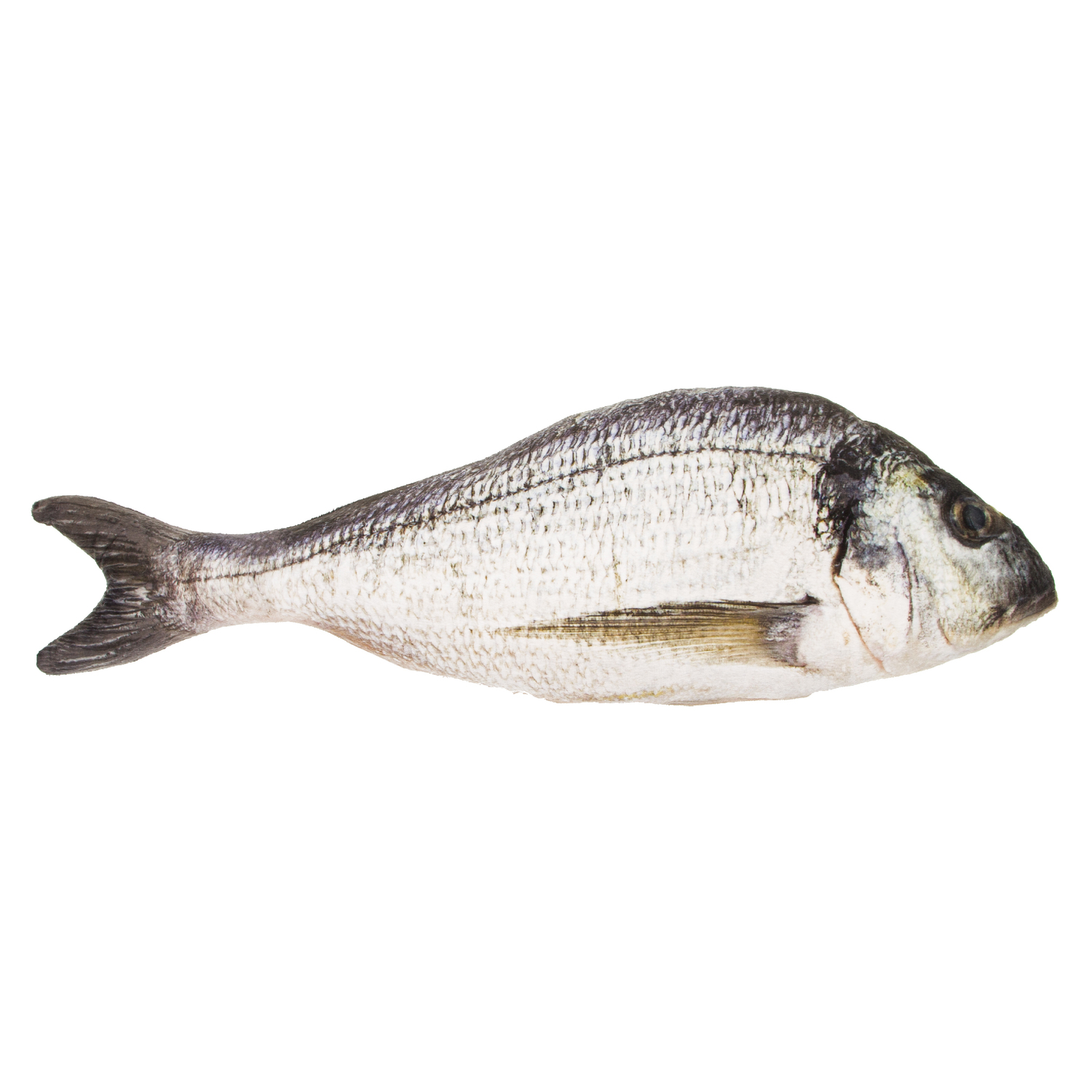 Peluche "poisson", 55 cm