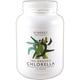 Synergy Natural Organic Chlorella Powder 1000g