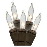Gerson 92154 - 100 Light 31.9" Brown Wire Clear Miniature Christmas Light String Set