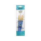 Royal Brush Set Golden Taklon Variety 204