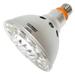 Litetronics 65400 - LP15566SP2D PAR38 Flood LED Light Bulb