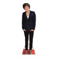 STAR CUTOUTS CS573 Lifesize Cutout of Harry Singer Songwriter 166cm Tall