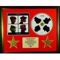 GORILLAZ/CD DISPLAY/LIMITED EDITION/COA/DEMON DAYS