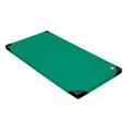 Wesco NA Tumbling Mats Tumbling Mats Reinforced Foam Playmat Foam in Green/Blue | 3 H x 23.5 W x 70.75 D in | Wayfair 146008