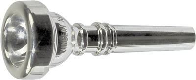 Bach 349 Cornet 5V
