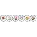 Portmeirion Home & Gifts 520172 Exotic Botanic Garden Salad Plate Set with 6 Assorted Moti
