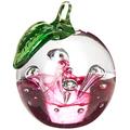 Caithness Glass U8945 Piece Crystal Windfall Ruby Nature Paperweight, Clear, Green/ Red