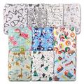 Littles and Bloomz, Reusable Pocket Cloth Nappy, Fastener: Popper, Set of 10, Patterns 1010, with 10 Bamboo Inserts