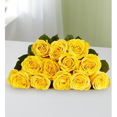 1-800-Flowers Flower Delivery Yellow Roses 12 Stems Bouquet Only | Happiness Delivered To Their Door