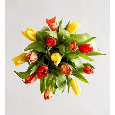 1-800-Flowers Seasonal Gift Delivery Our Favorite Fall Tulips 15 Stems, Bouquet Only